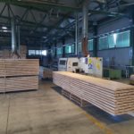 Elemente-Eiche-Imperius-4-150x150